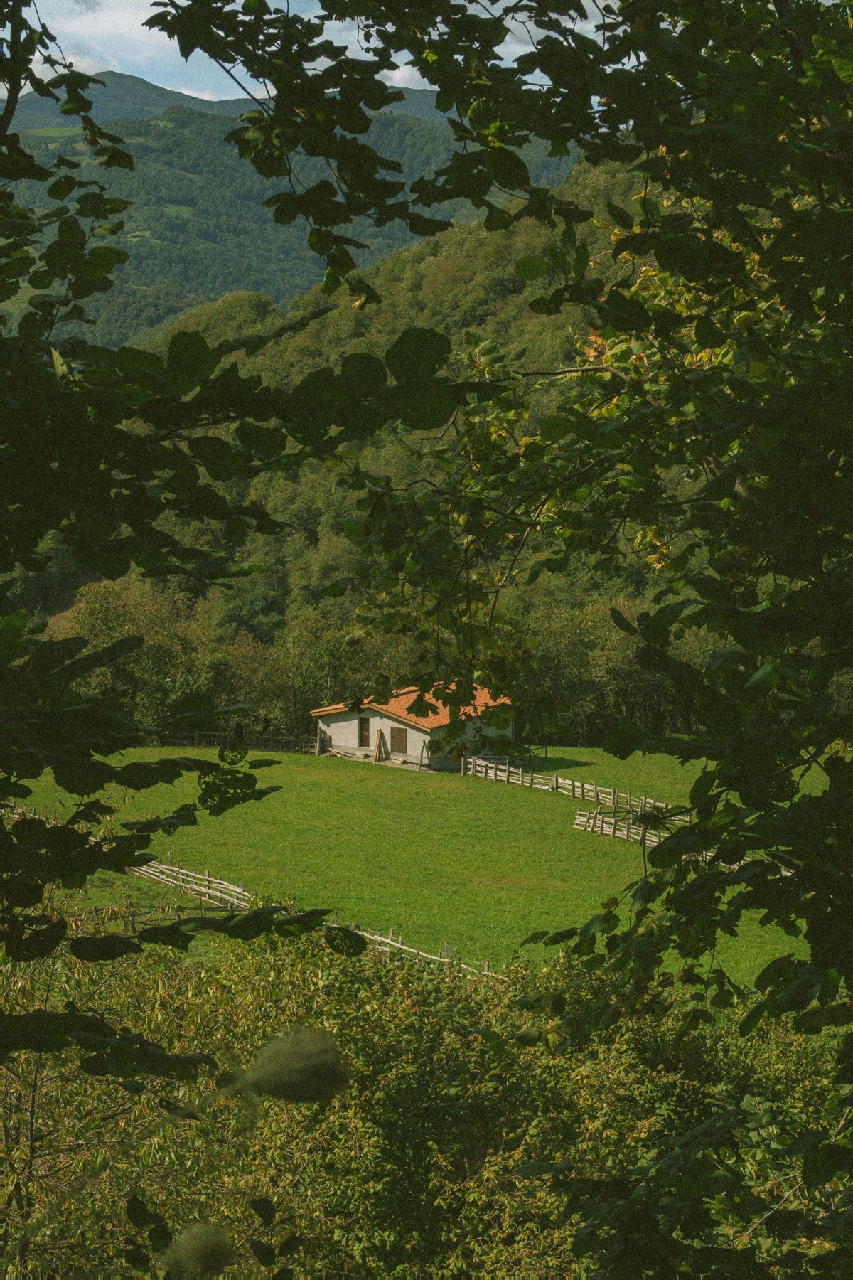 Vivienda entre prados y montañas